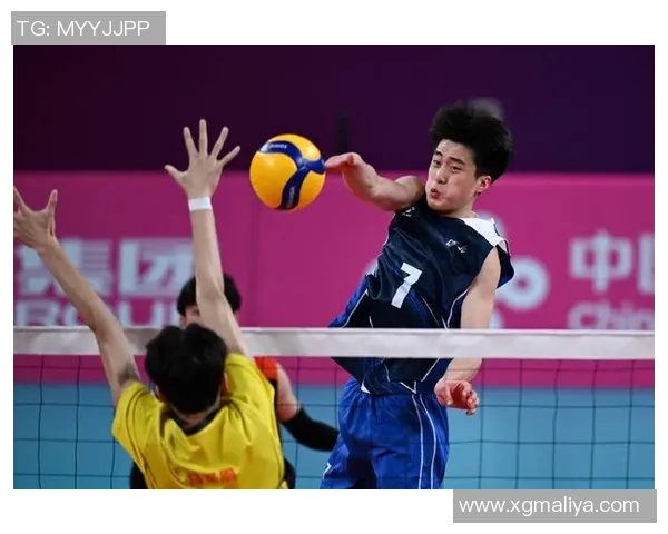 南京排球队战术实力强劲荣登全国第七名引发关注